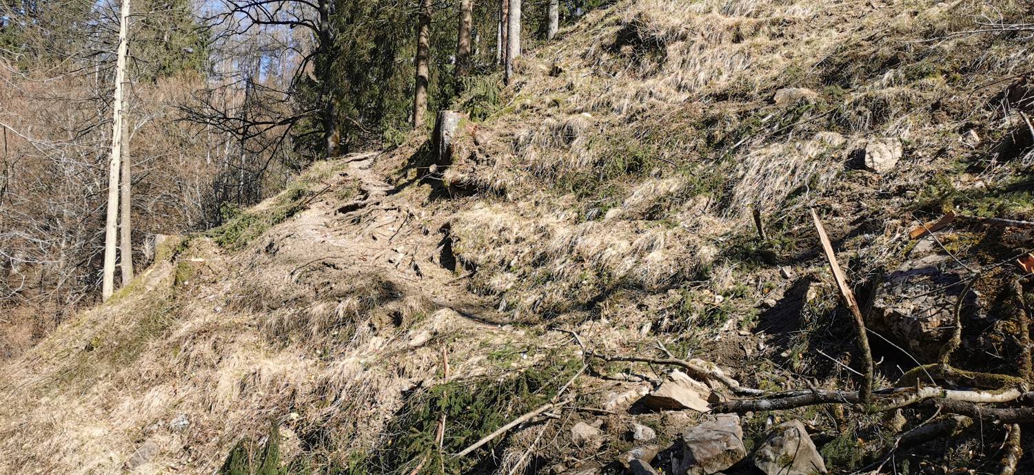 Gabrje - Planina Pretovč slika 31