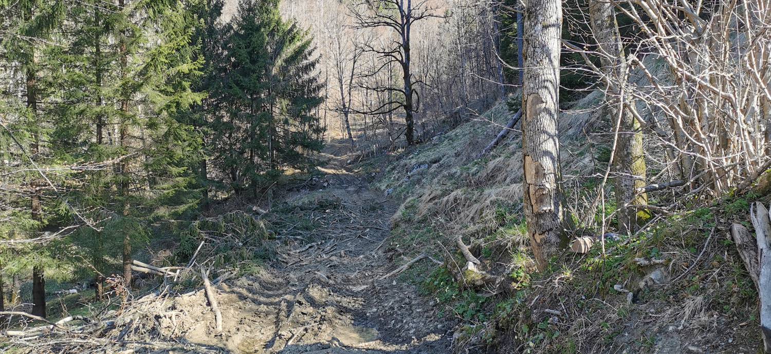 Gabrje - Planina Pretovč slika 34
