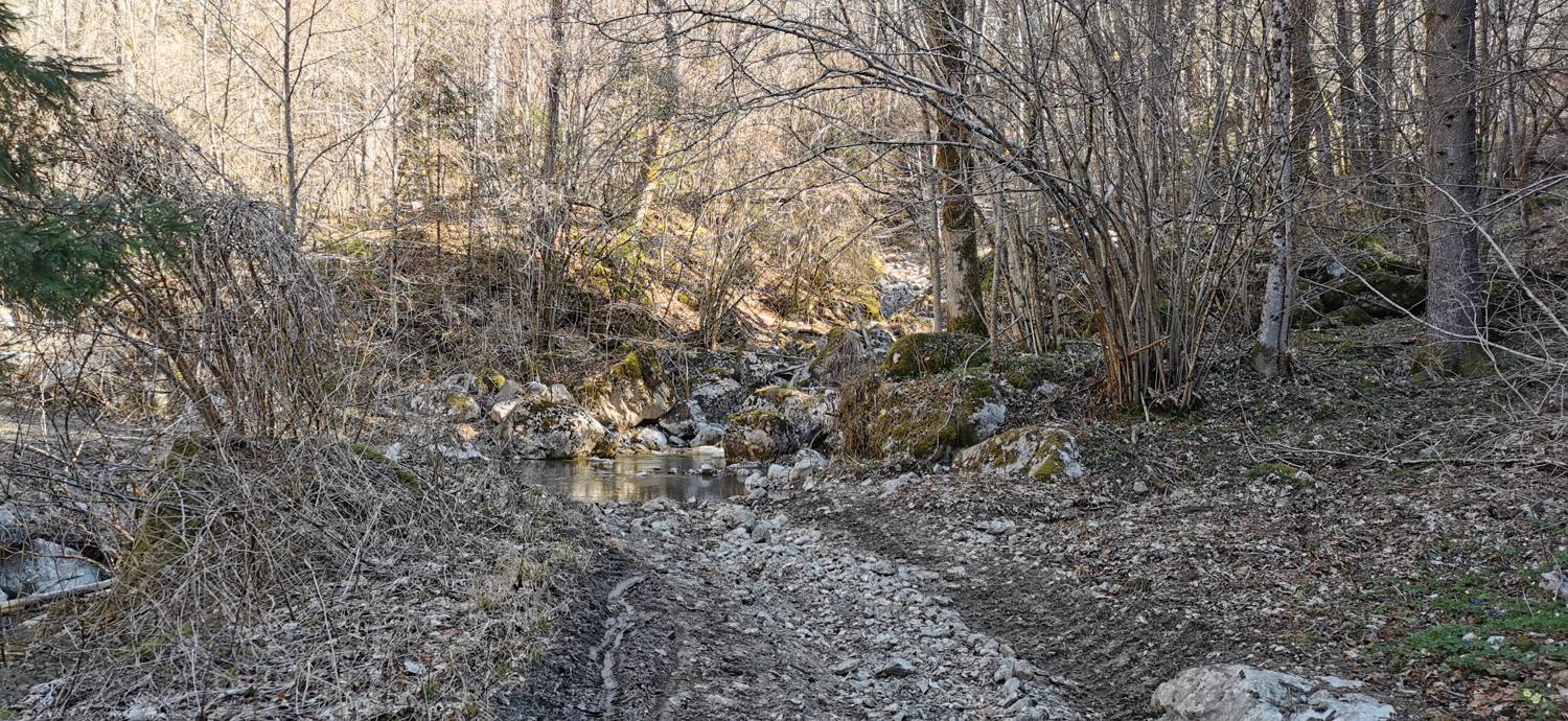 Gabrje - Planina Pretovč slika 35