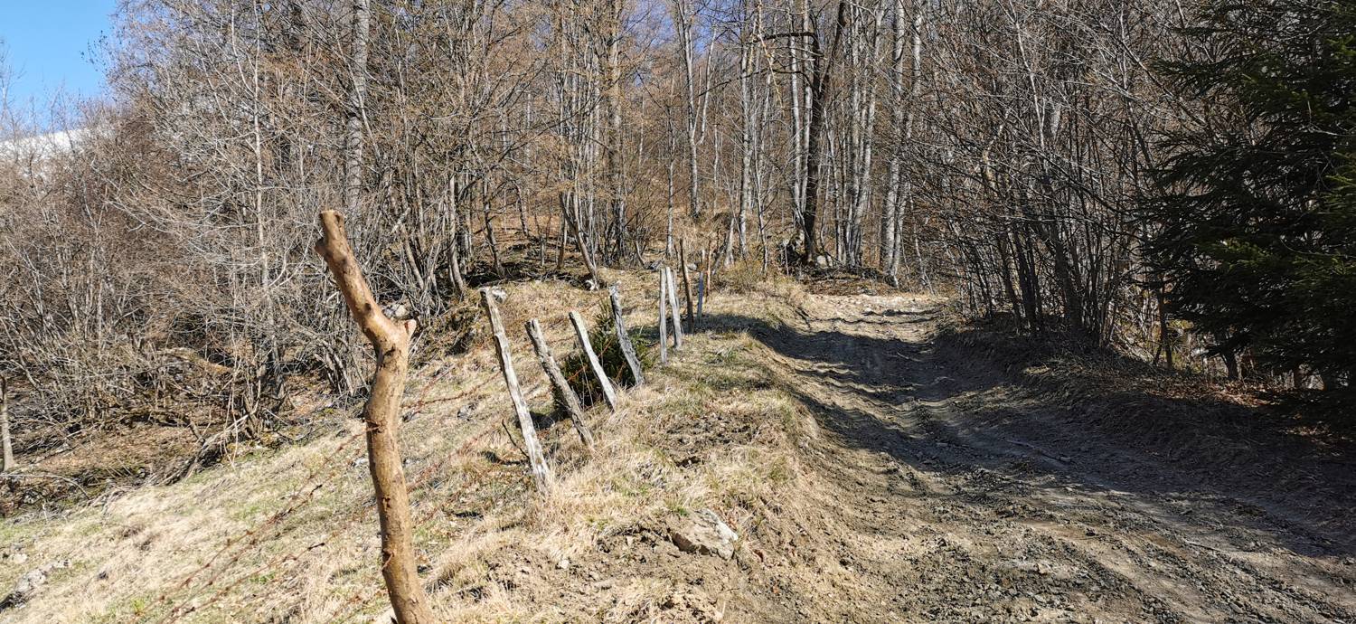Gabrje - Planina Pretovč slika 37