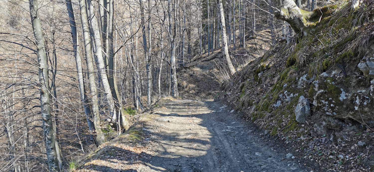 Gabrje - Planina Pretovč slika 38