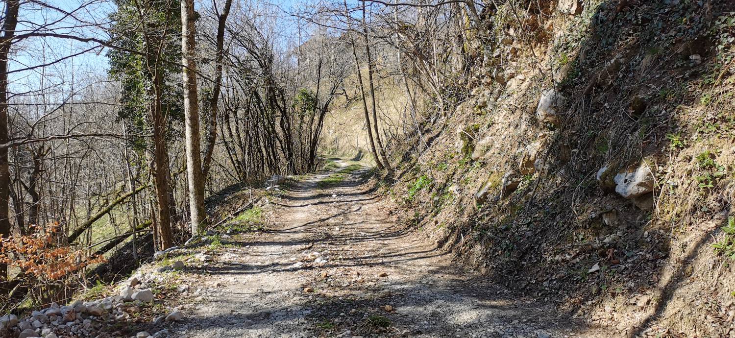 Gabrje - Planina Pretovč slika 39
