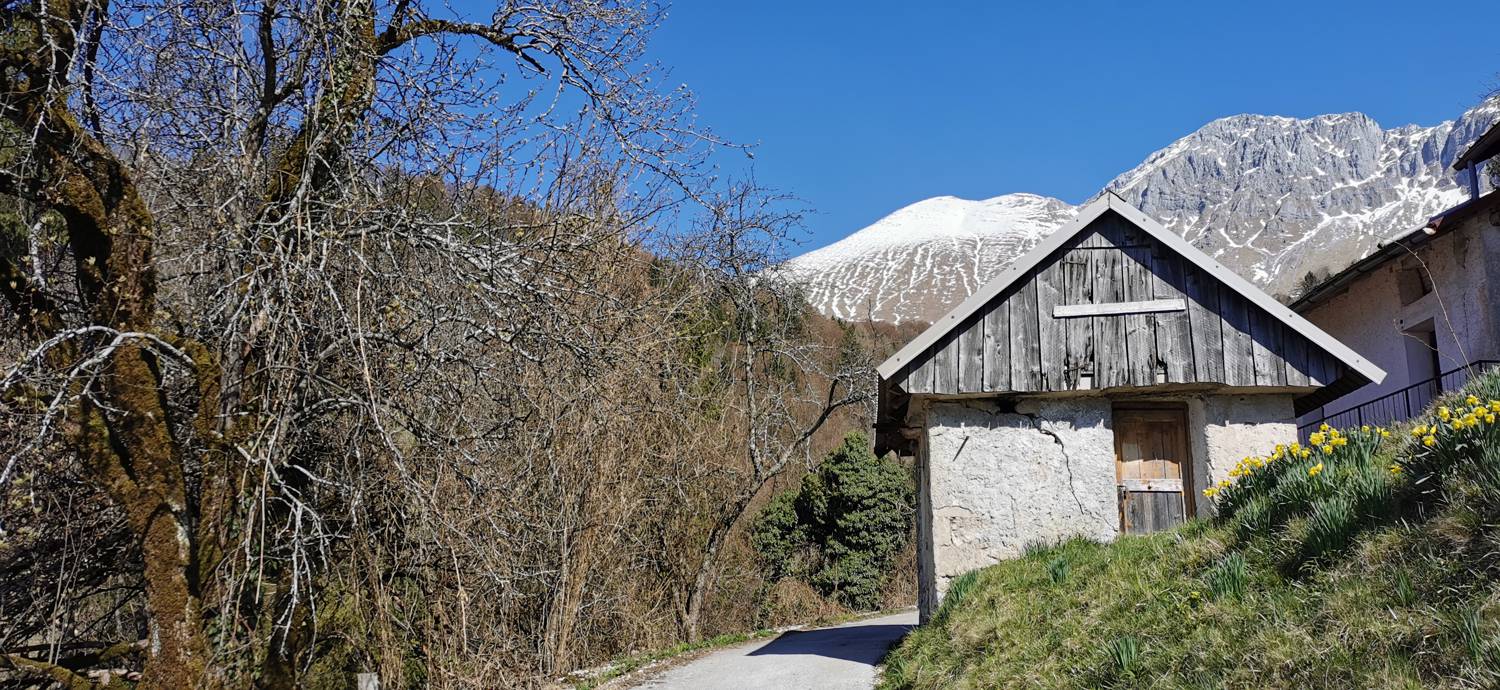 Gabrje - Planina Pretovč slika 41