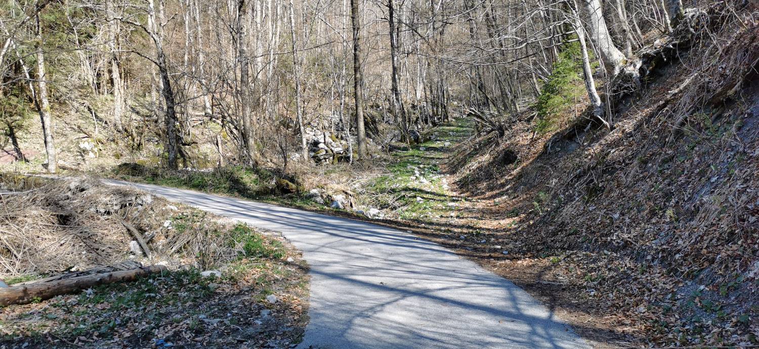 Gabrje - Planina Pretovč slika 42