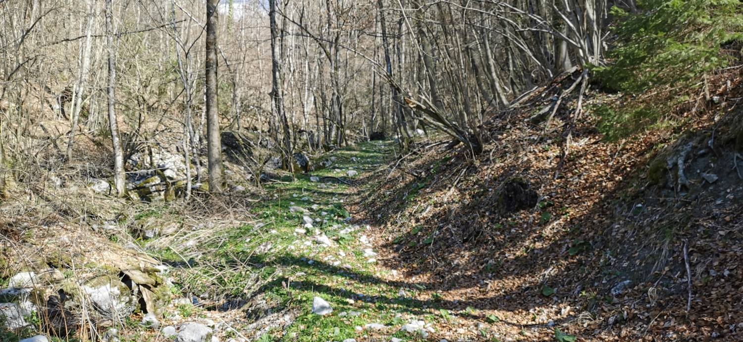 Gabrje - Planina Pretovč slika 43