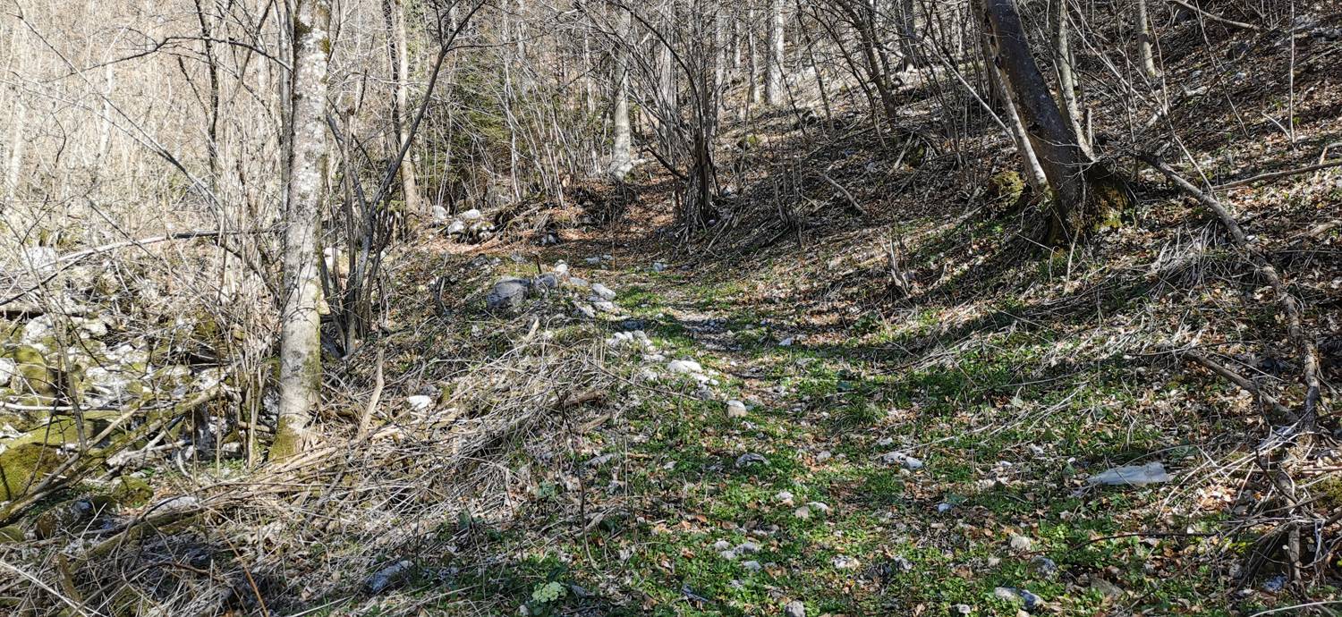 Gabrje - Planina Pretovč slika 44