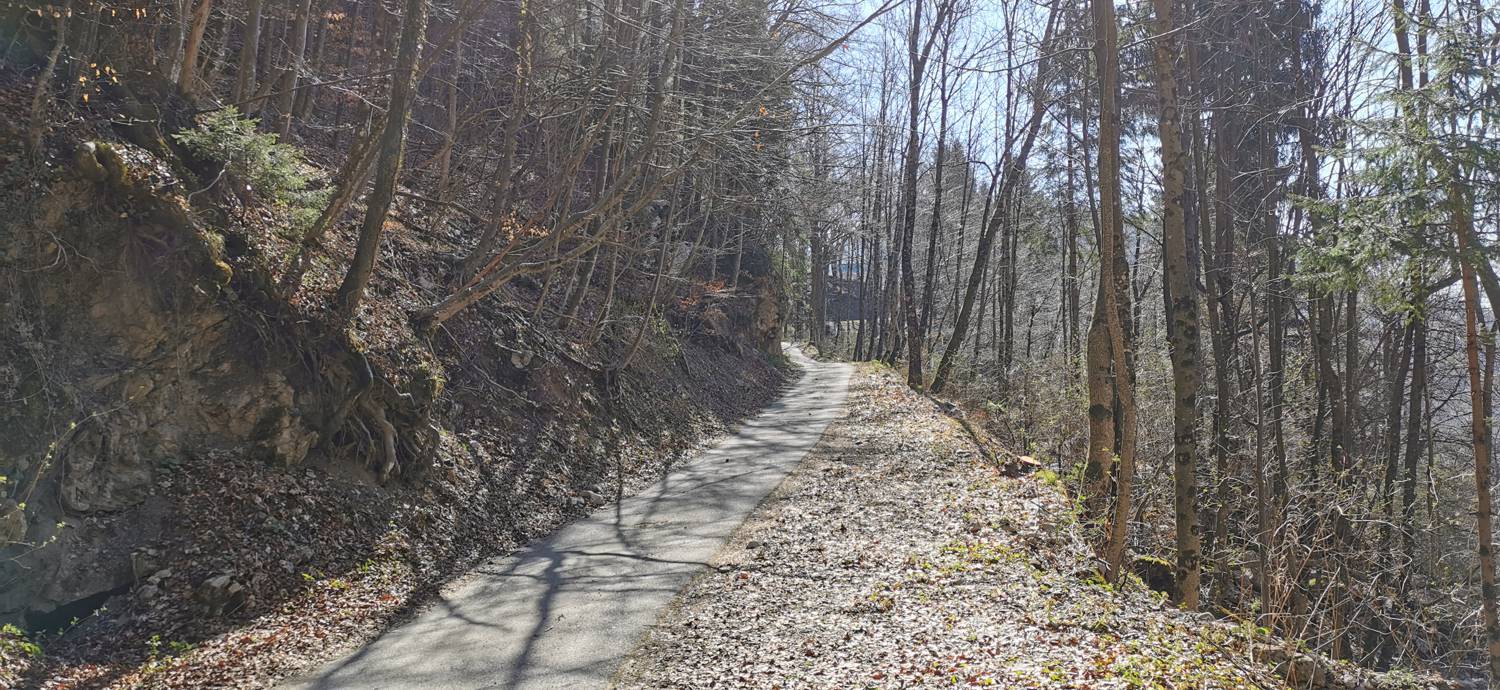 Gabrje - Planina Pretovč slika 46