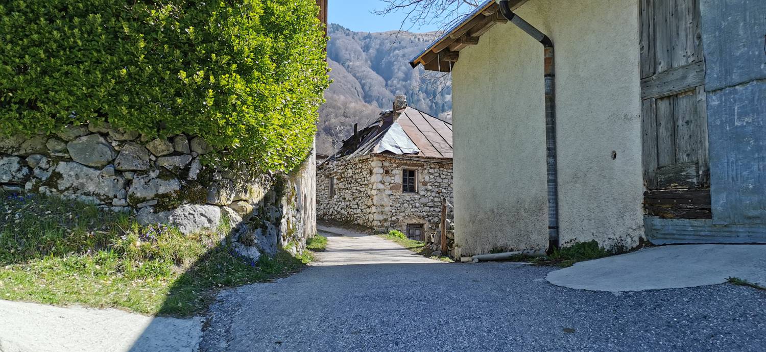Gabrje - Planina Pretovč slika 48