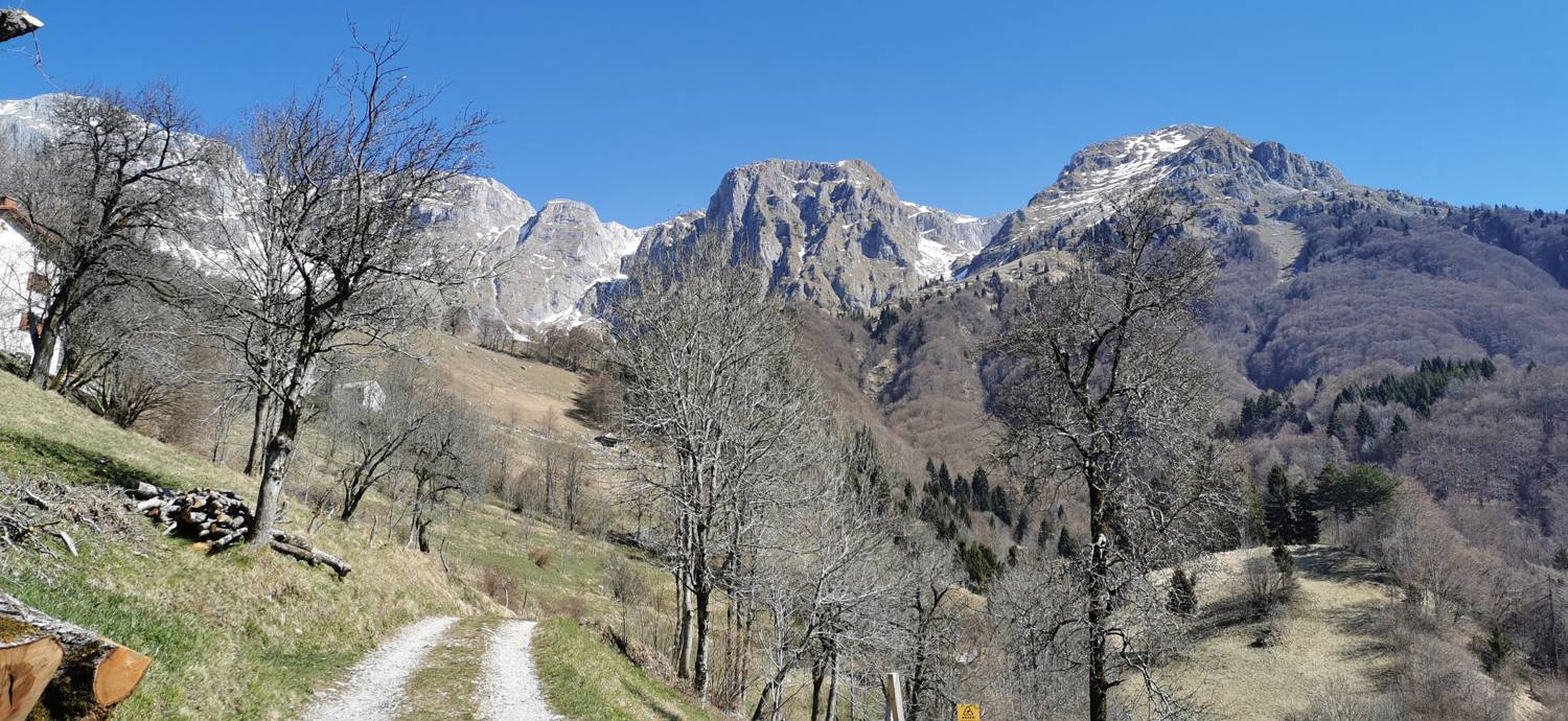 Gabrje - Planina Pretovč slika 49