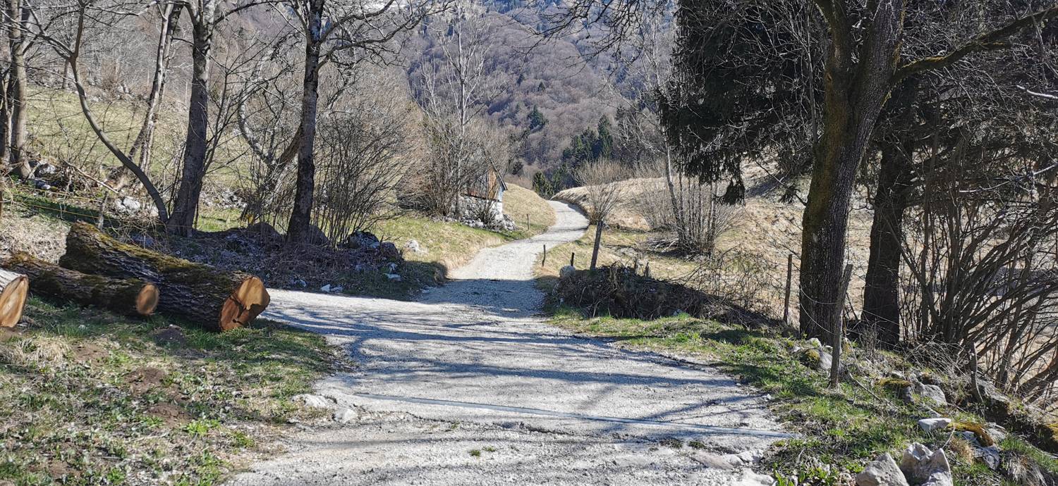 Gabrje - Planina Pretovč slika 50