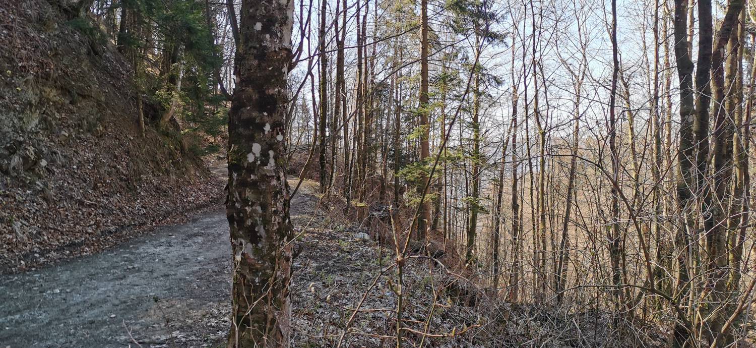 Gabrje - Planina Pretovč slika 51