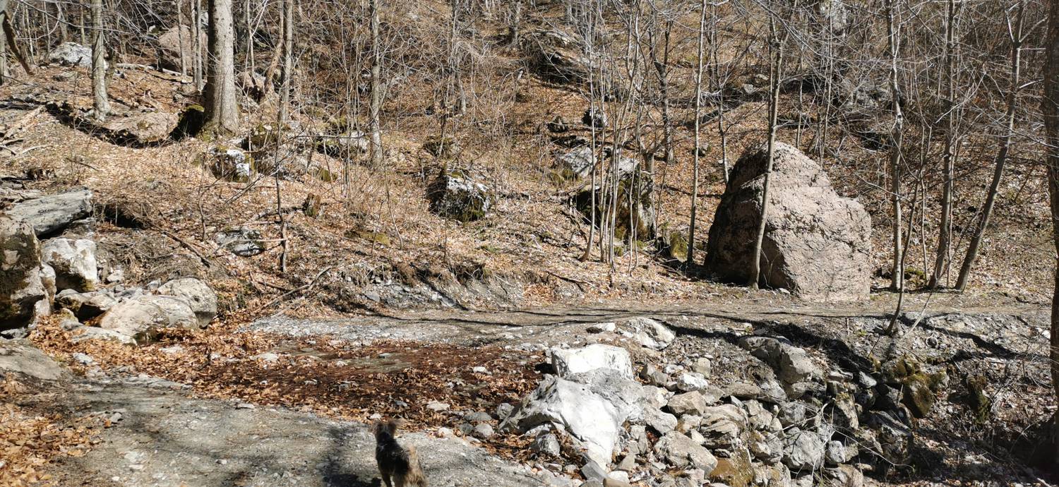 Gabrje - Planina Pretovč slika 56