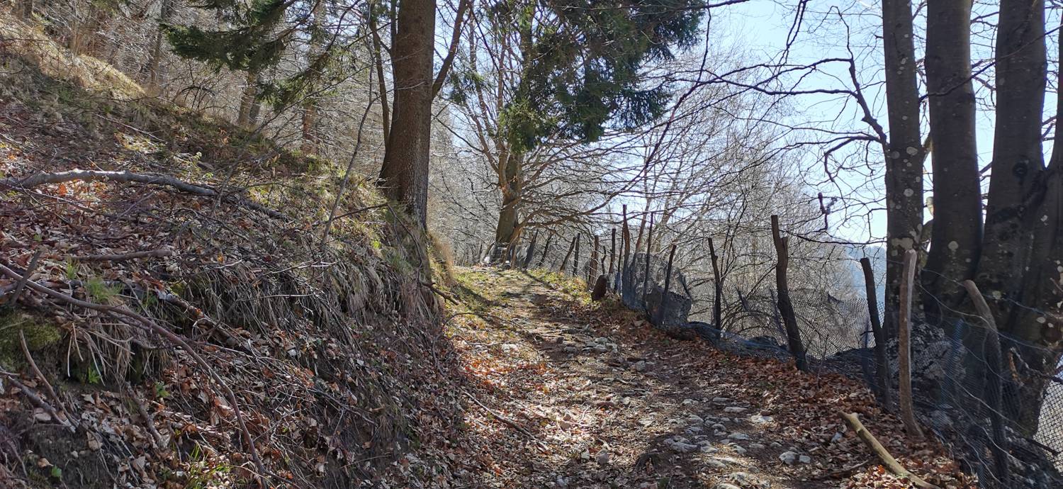 Gabrje - Planina Pretovč slika 59