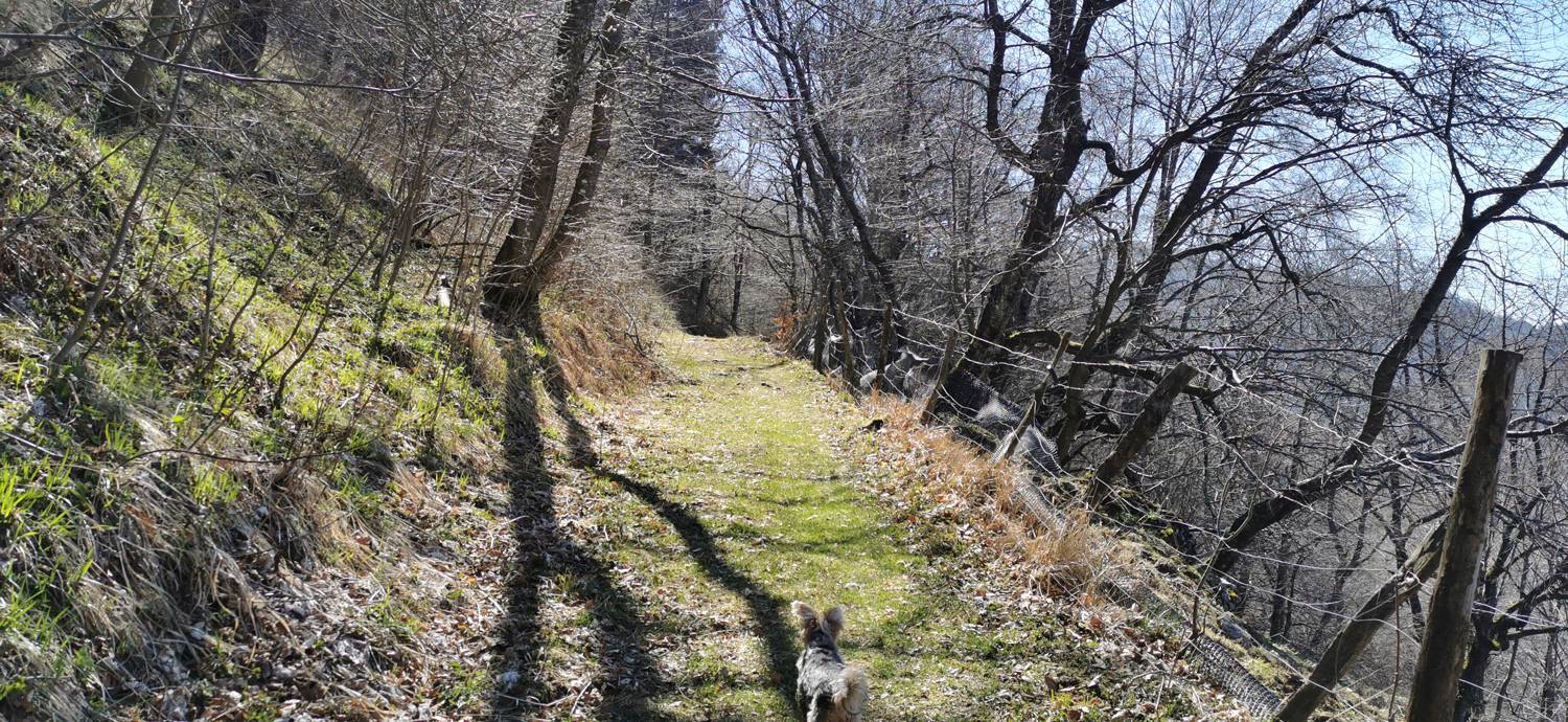 Gabrje - Planina Pretovč slika 61