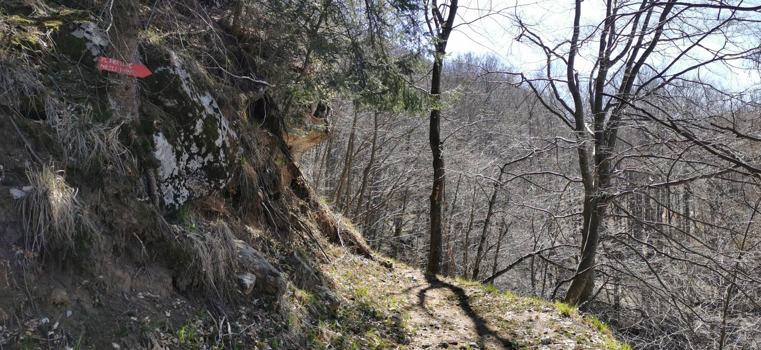 Gabrje - Planina Pretovč slika 62