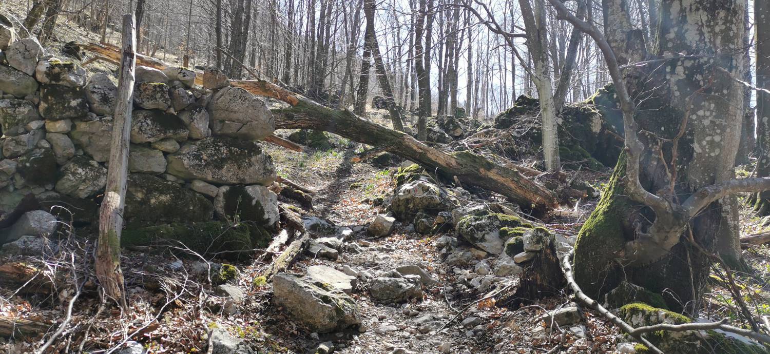 Gabrje - Planina Pretovč slika 63