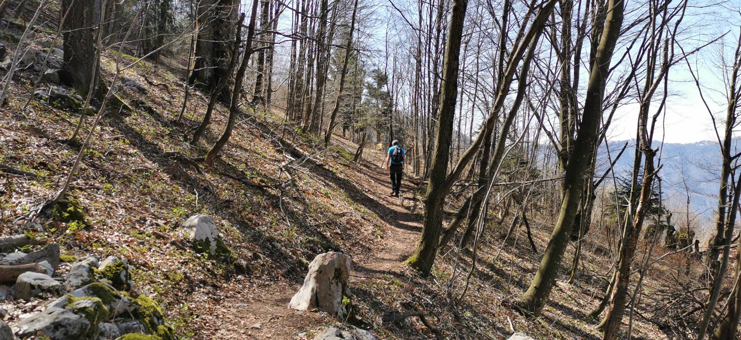 Gabrje - Planina Pretovč slika 64