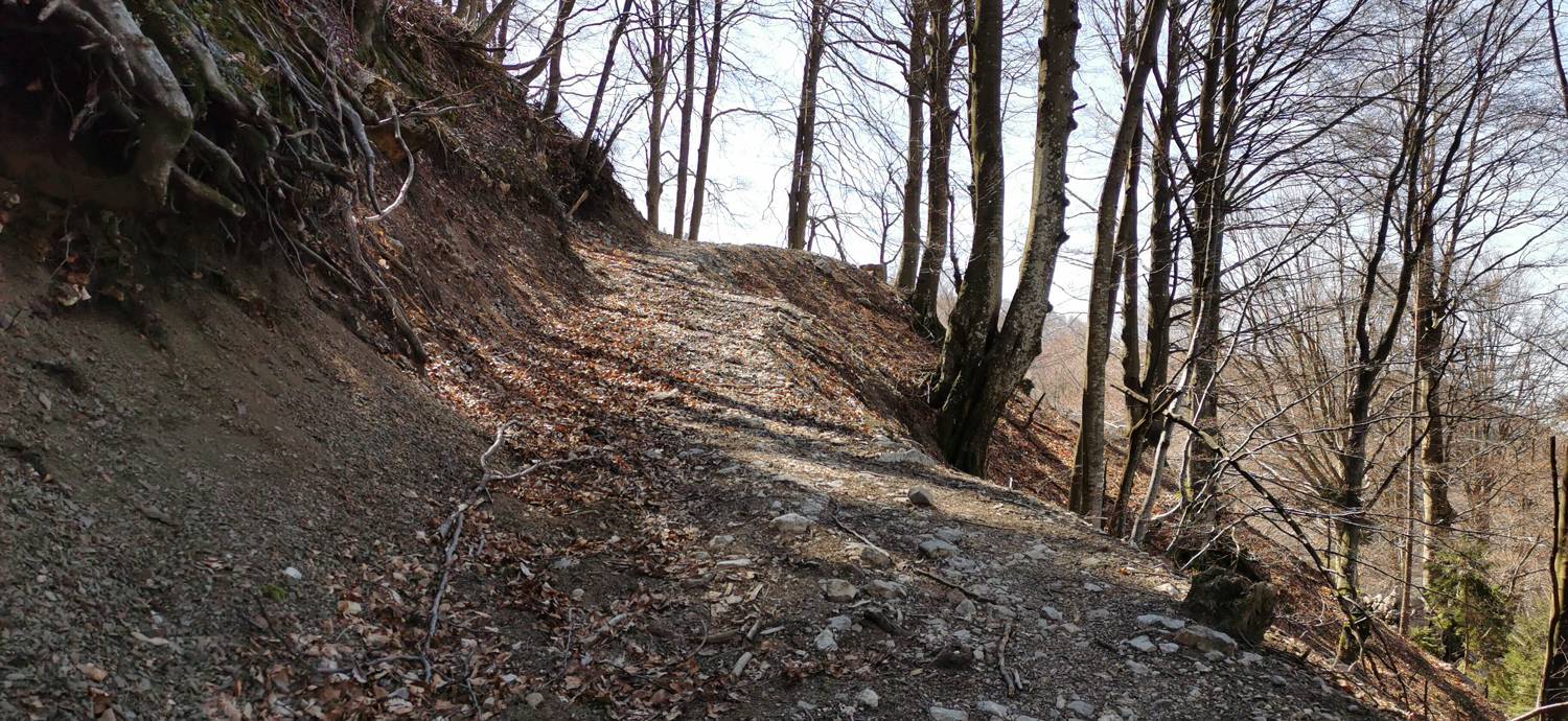 Gabrje - Planina Pretovč slika 65