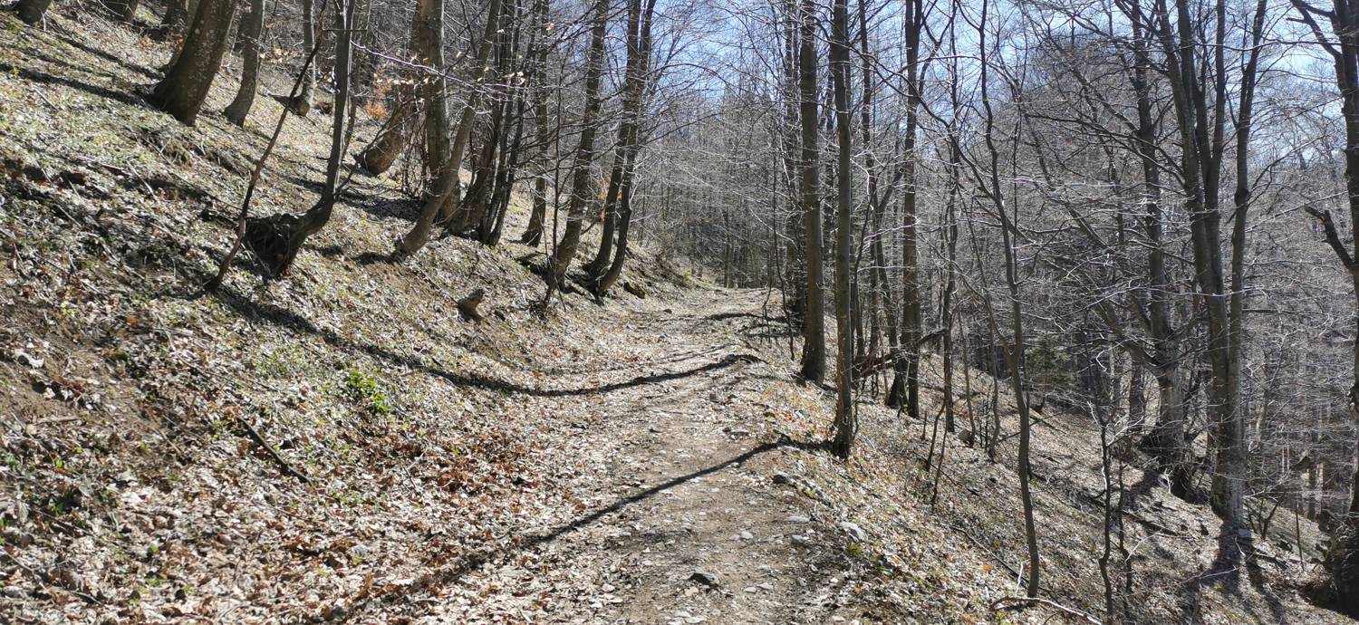 Gabrje - Planina Pretovč slika 66