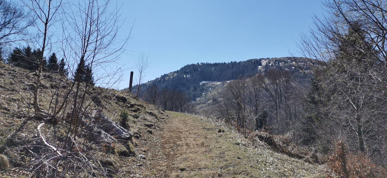 Gabrje - Planina Pretovč slika 67