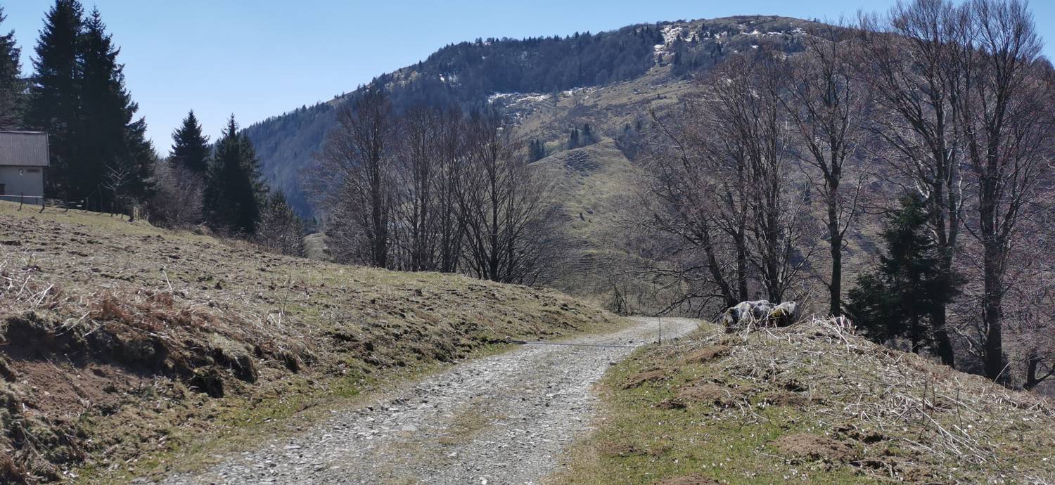 Gabrje - Planina Pretovč slika 68
