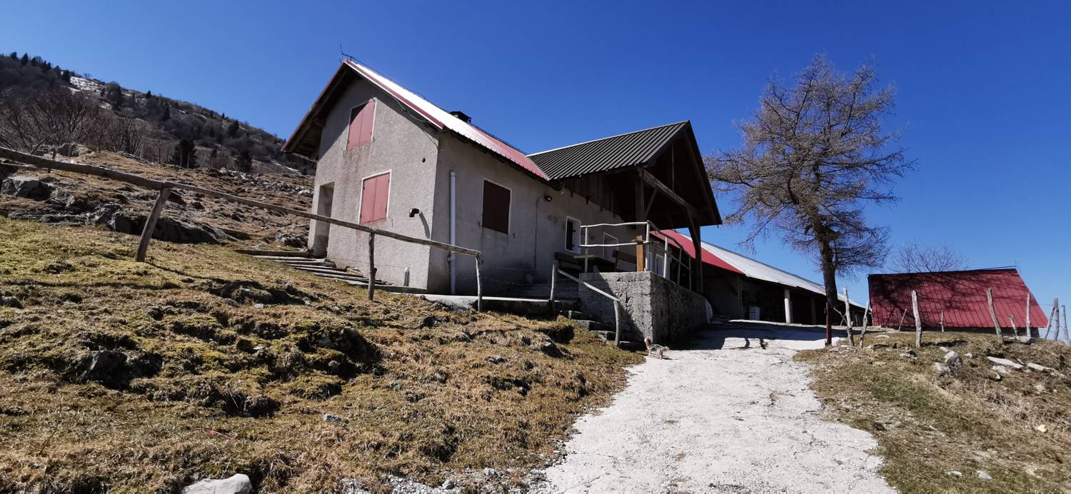 Gabrje - Planina Pretovč slika 73