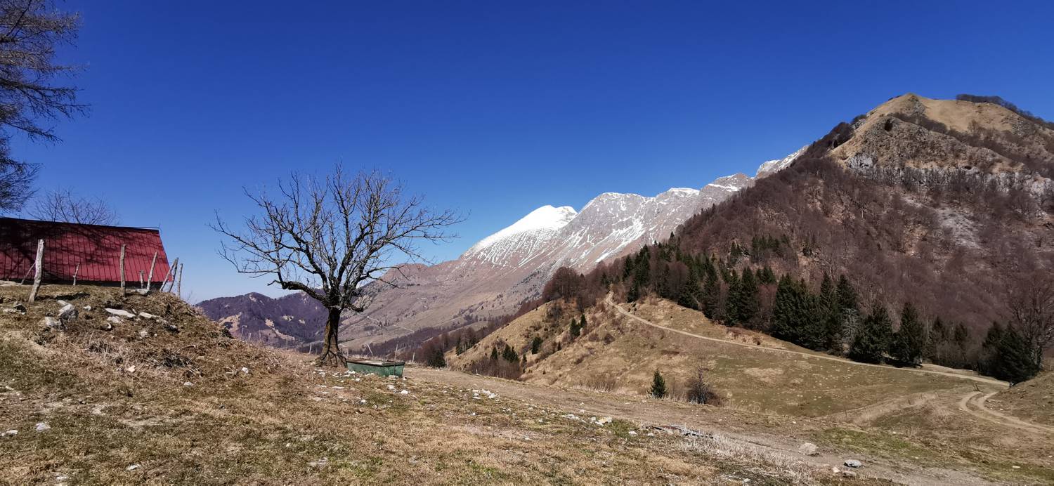 Gabrje - Planina Pretovč slika 74