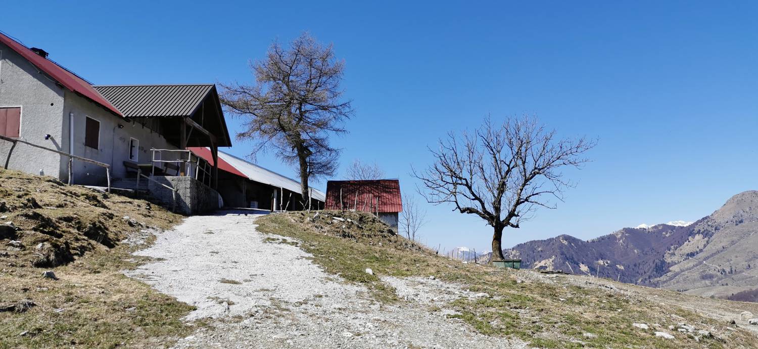 Gabrje - Planina Pretovč slika 76