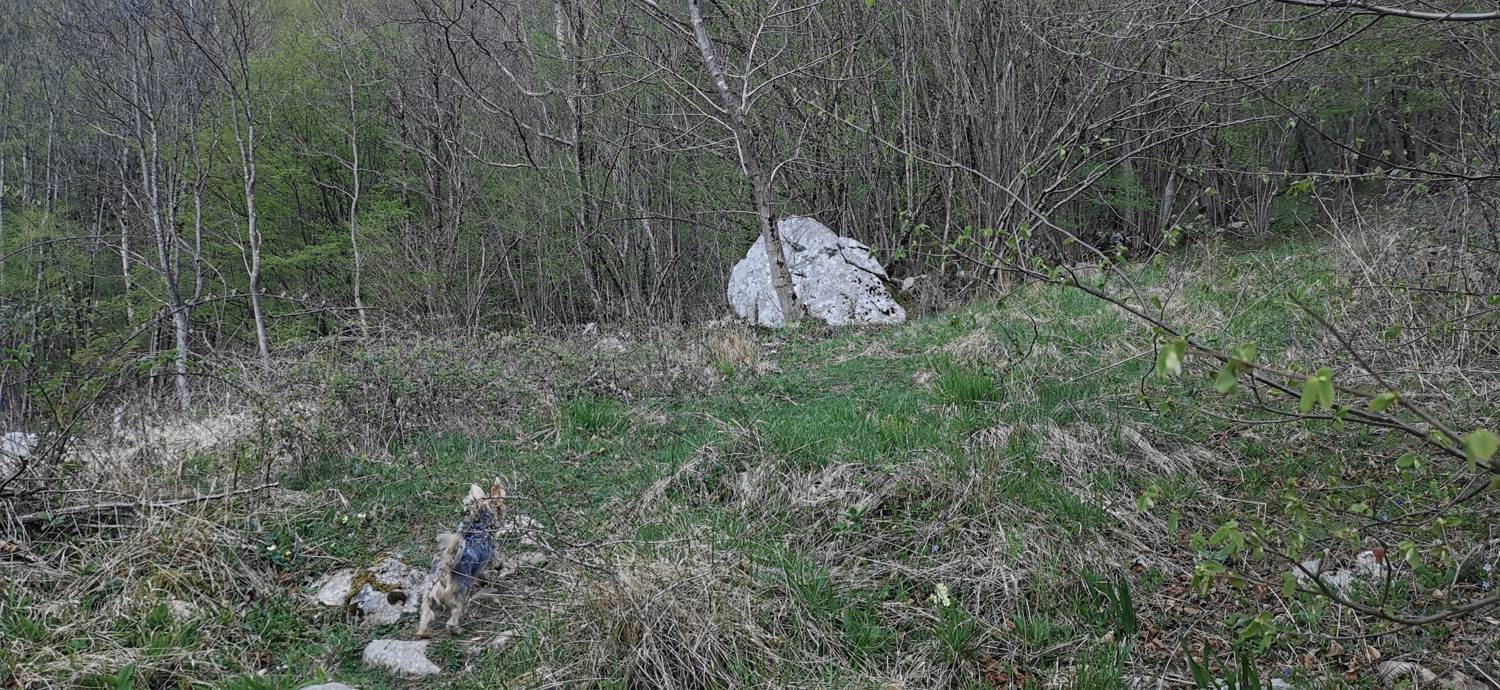 Planina Srednica - Planina Lašca slika 8
