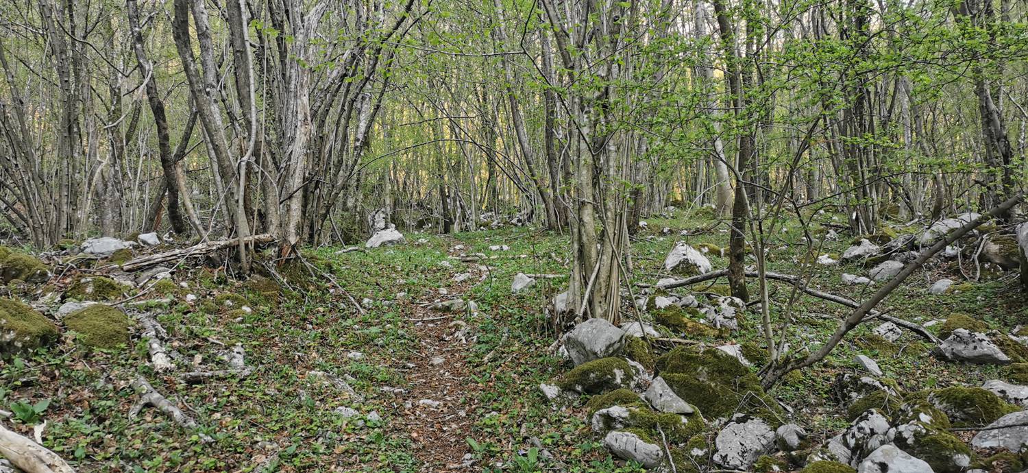 Planina Srednica - Planina Lašca slika 9