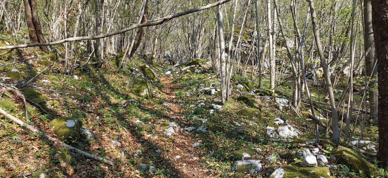 Planina Srednica - Planina Lašca slika 11