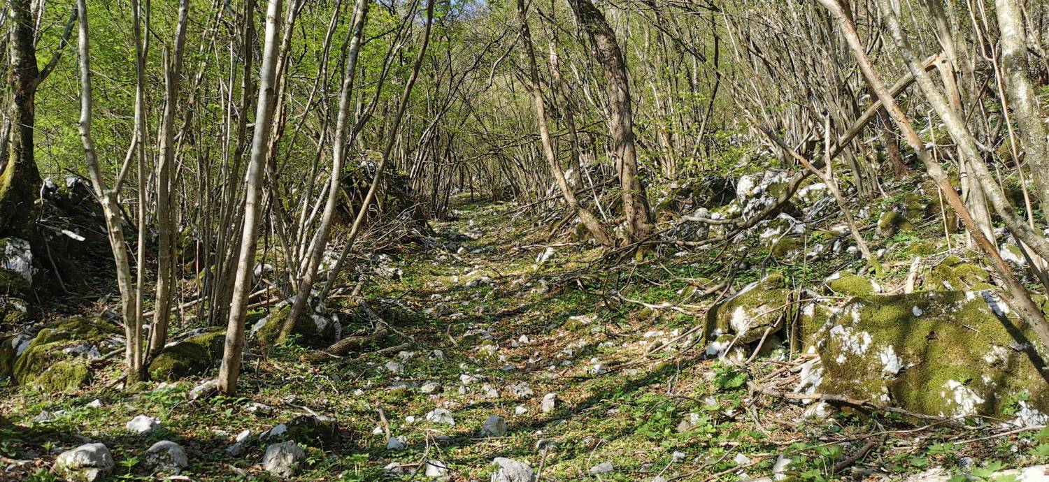 Planina Srednica - Planina Lašca slika 12