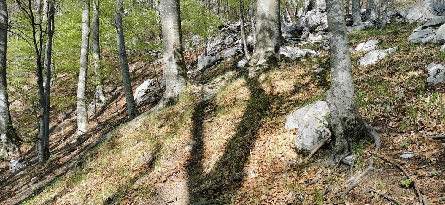 Planina Srednica - Planina Lašca slika 16