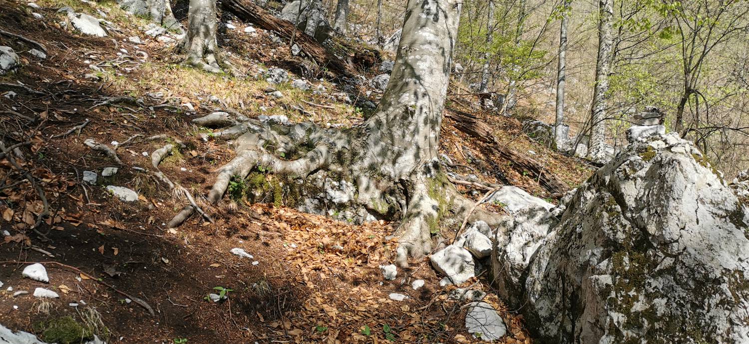 Planina Srednica - Planina Lašca slika 17