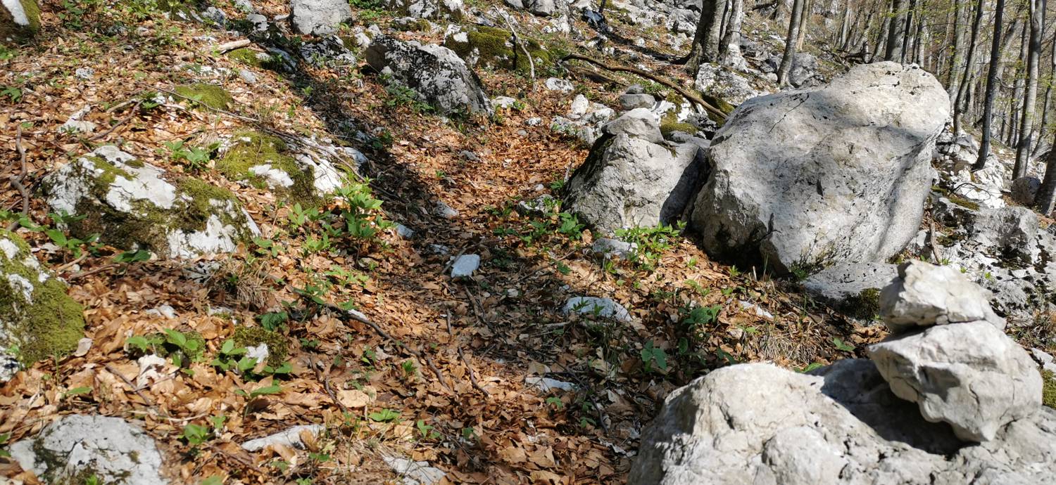 Planina Srednica - Planina Lašca slika 21