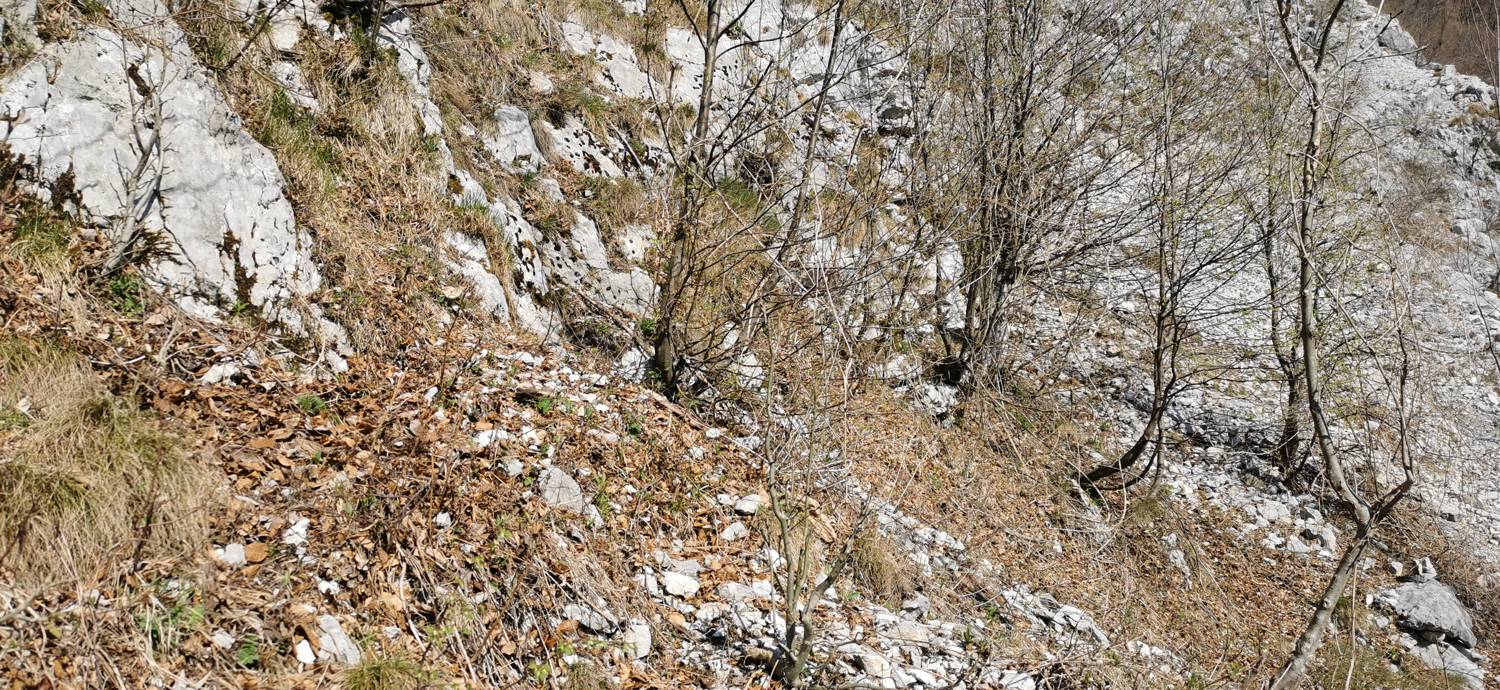 Planina Srednica - Planina Lašca slika 22