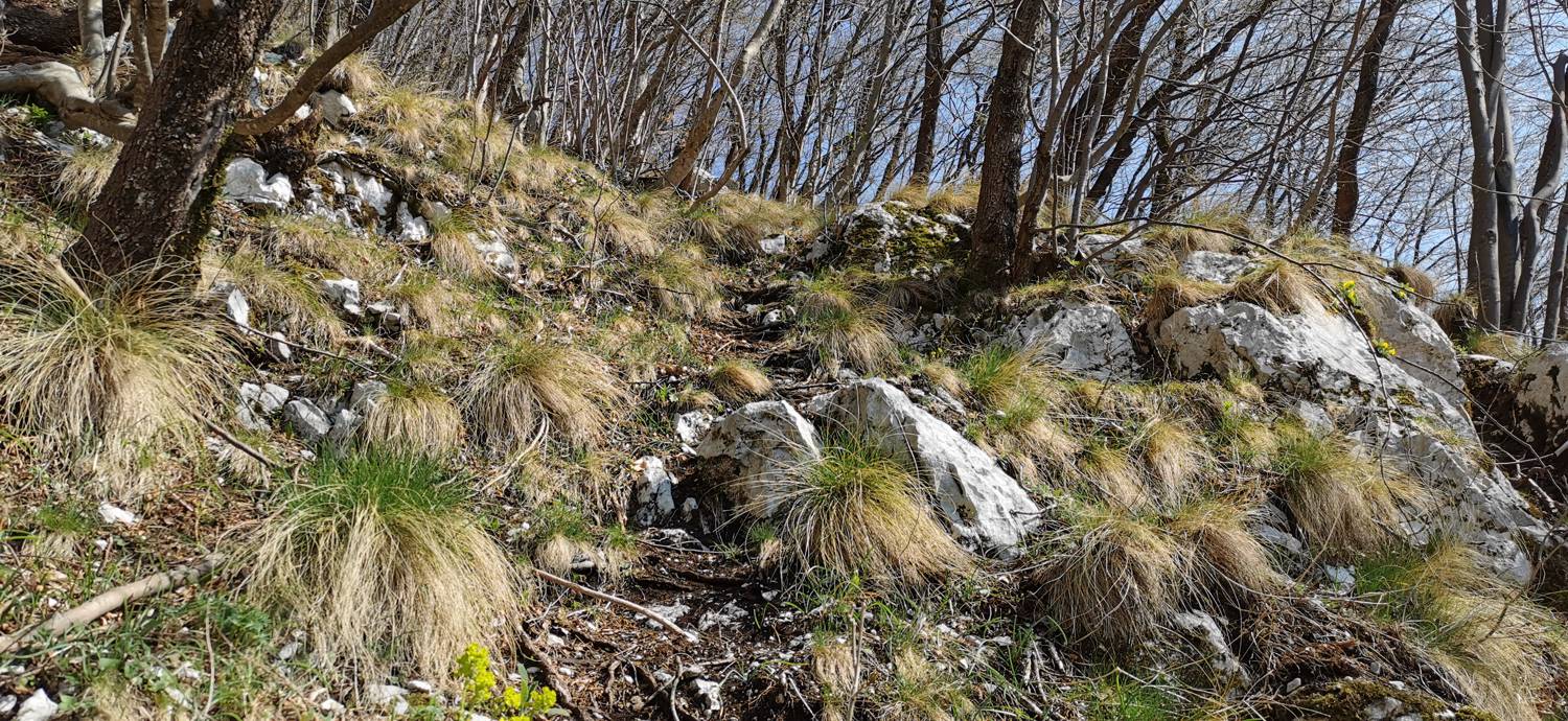 Planina Srednica - Planina Lašca slika 29