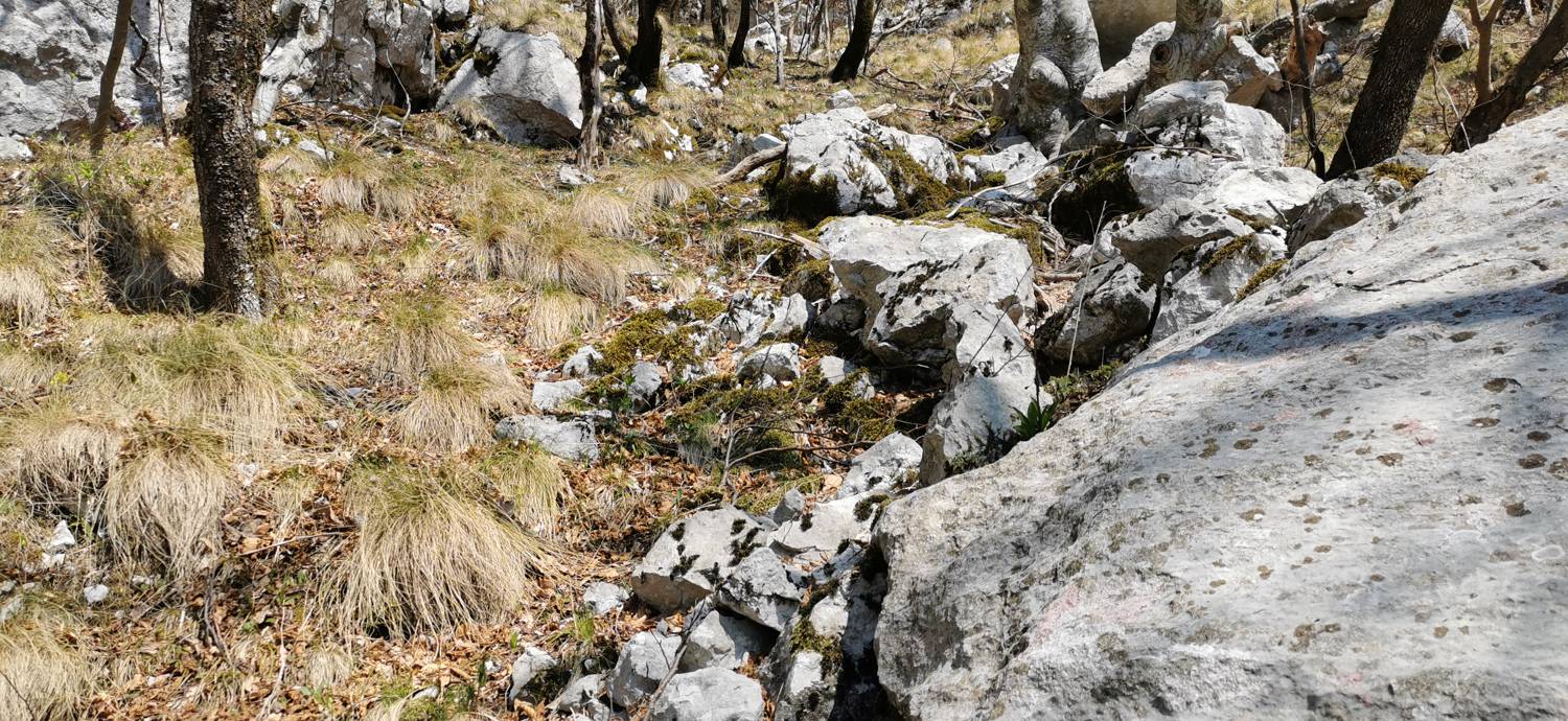 Planina Srednica - Planina Lašca slika 30