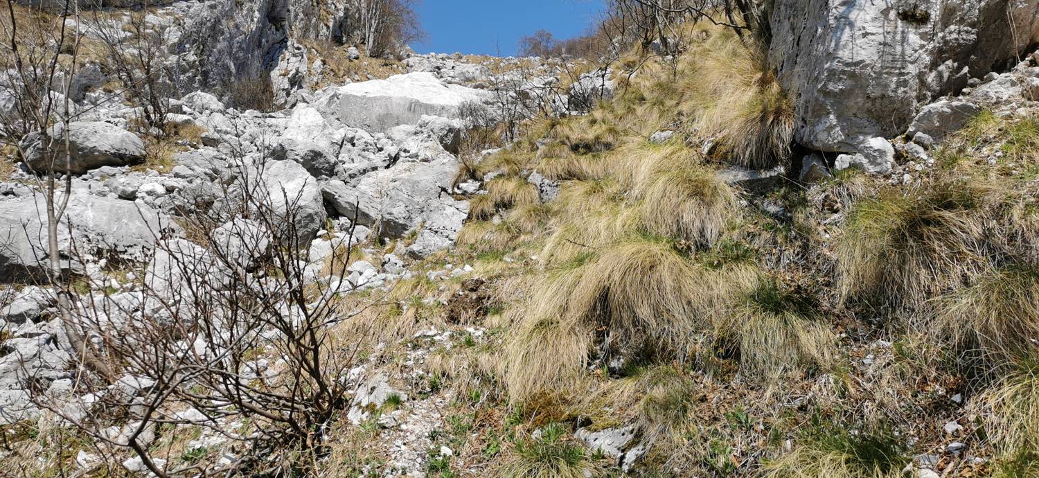 Planina Srednica - Planina Lašca slika 31