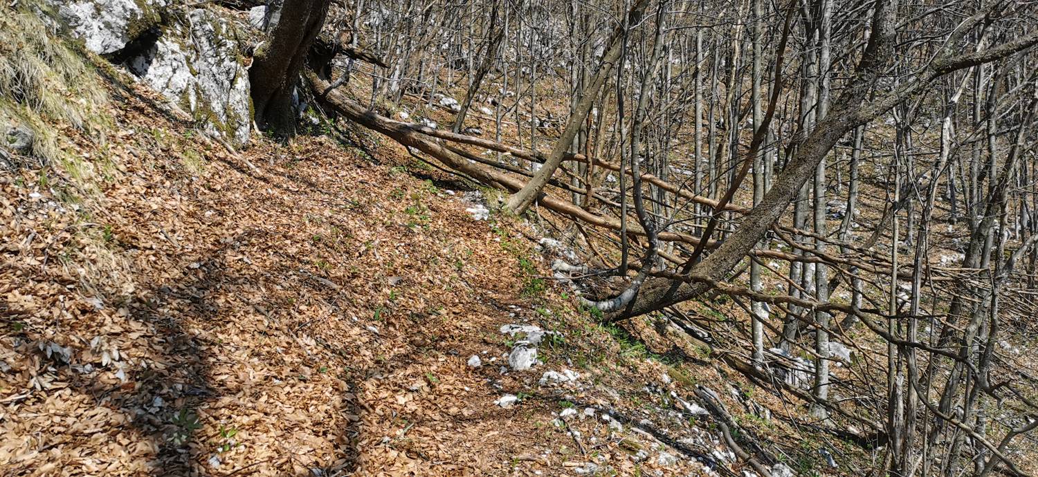 Planina Srednica - Planina Lašca slika 33