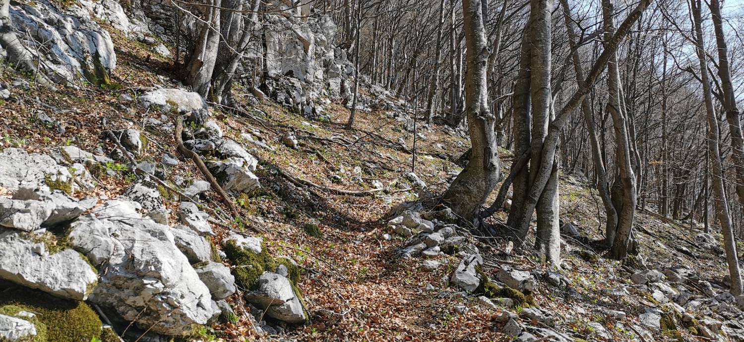 Planina Srednica - Planina Lašca slika 34