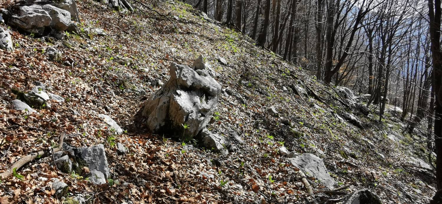 Planina Srednica - Planina Lašca slika 35