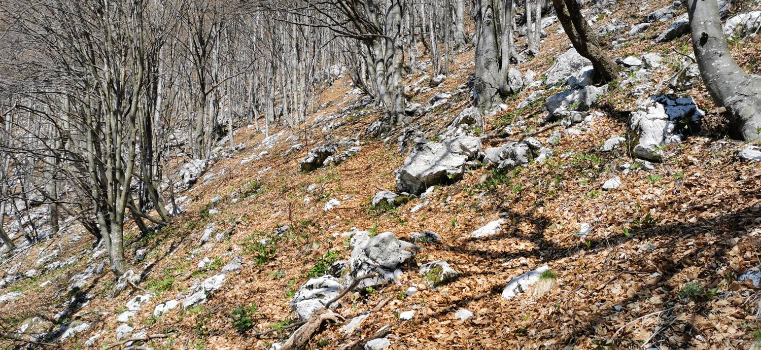 Planina Srednica - Planina Lašca slika 36