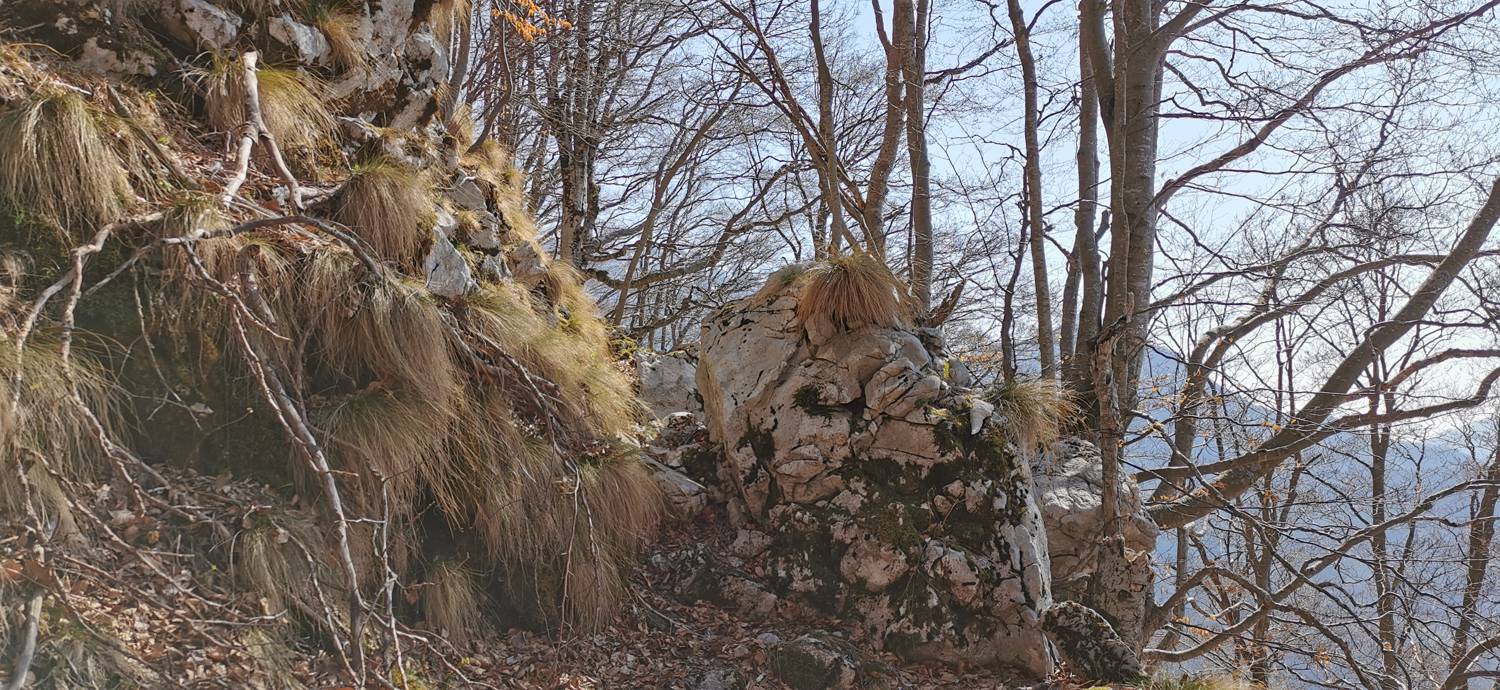 Planina Srednica - Planina Lašca slika 38