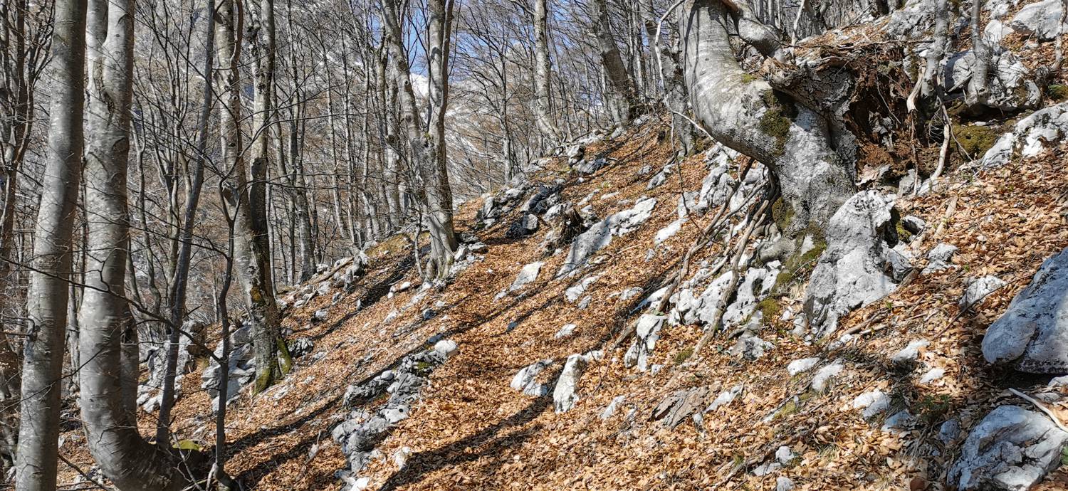 Planina Srednica - Planina Lašca slika 39