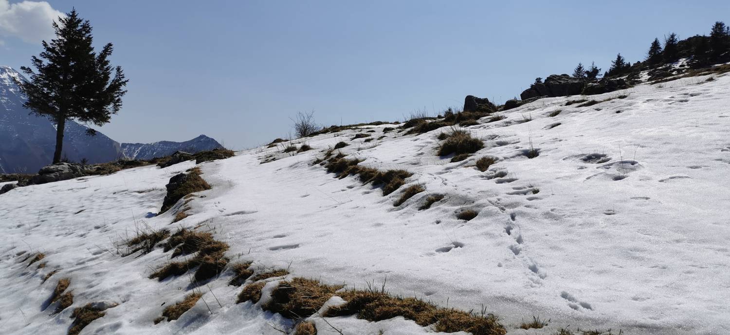 Planina Srednica - Planina Lašca slika 52