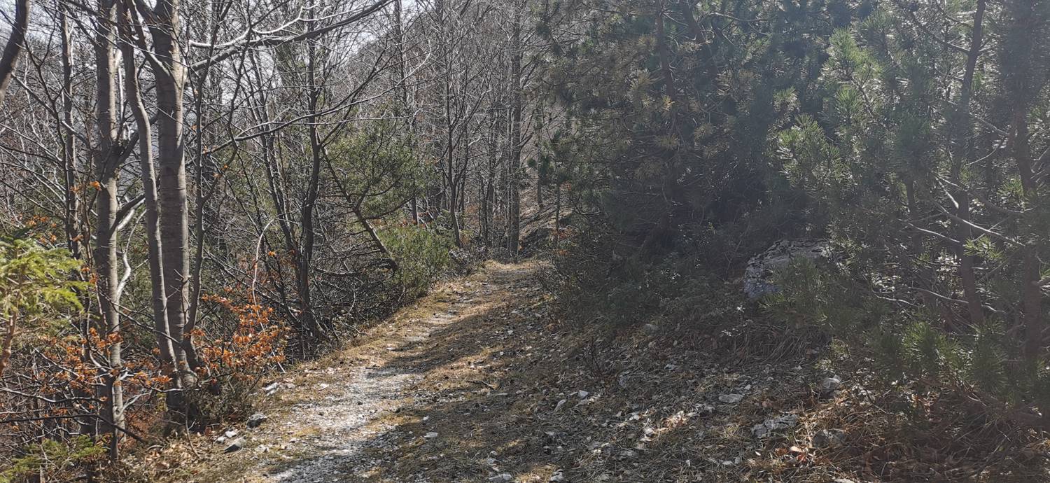 Planina Srednica - Planina Lašca slika 46
