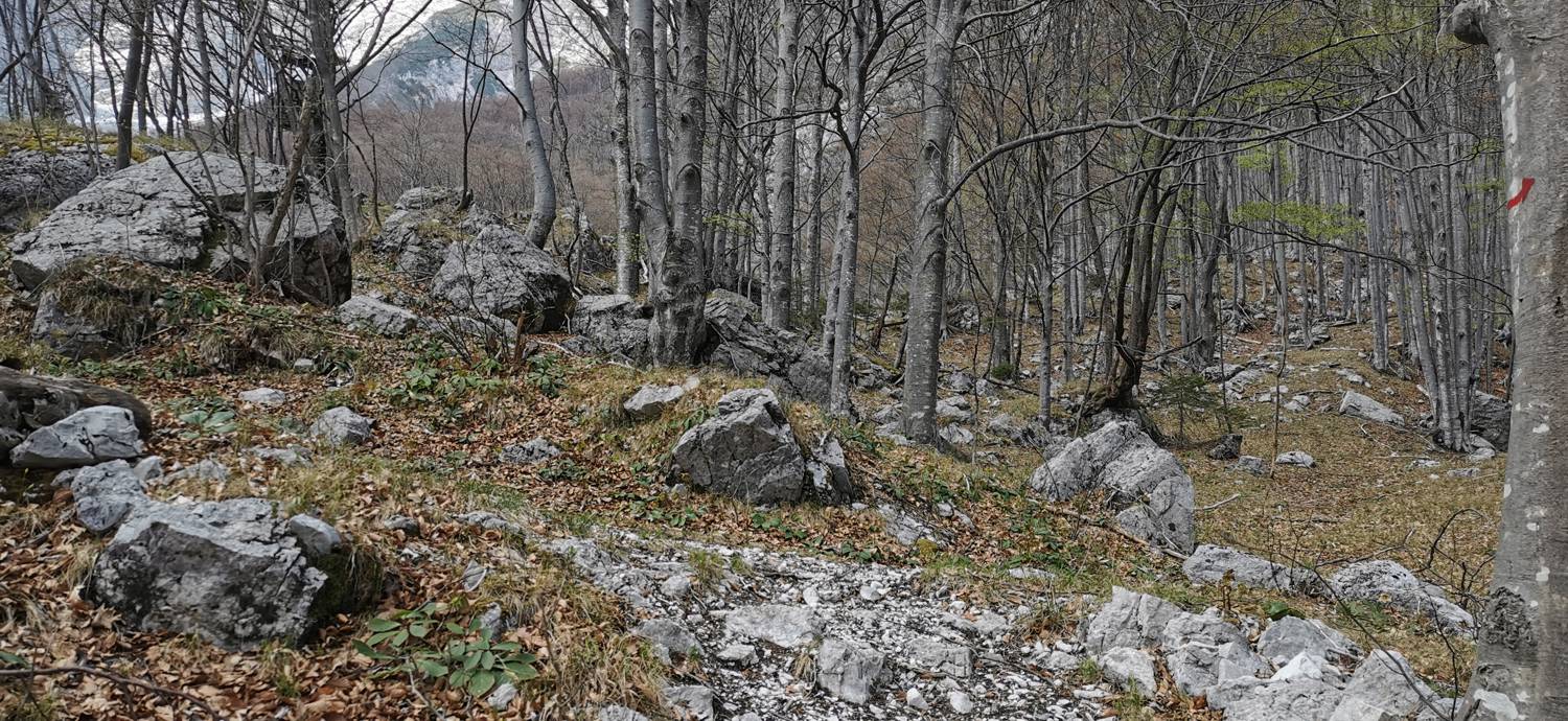 Planina Srednica - Planina Lašca slika 28