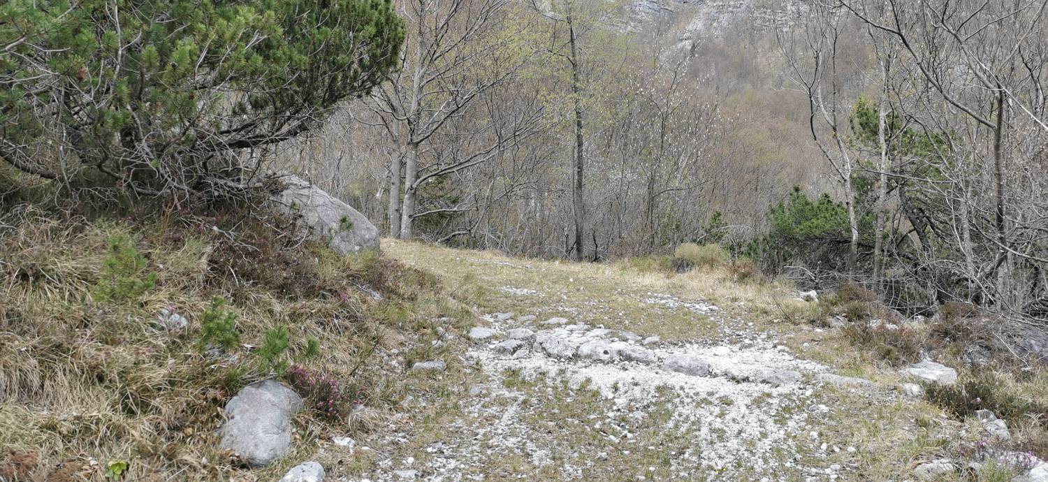 Planina Srednica - Planina Lašca slika 25