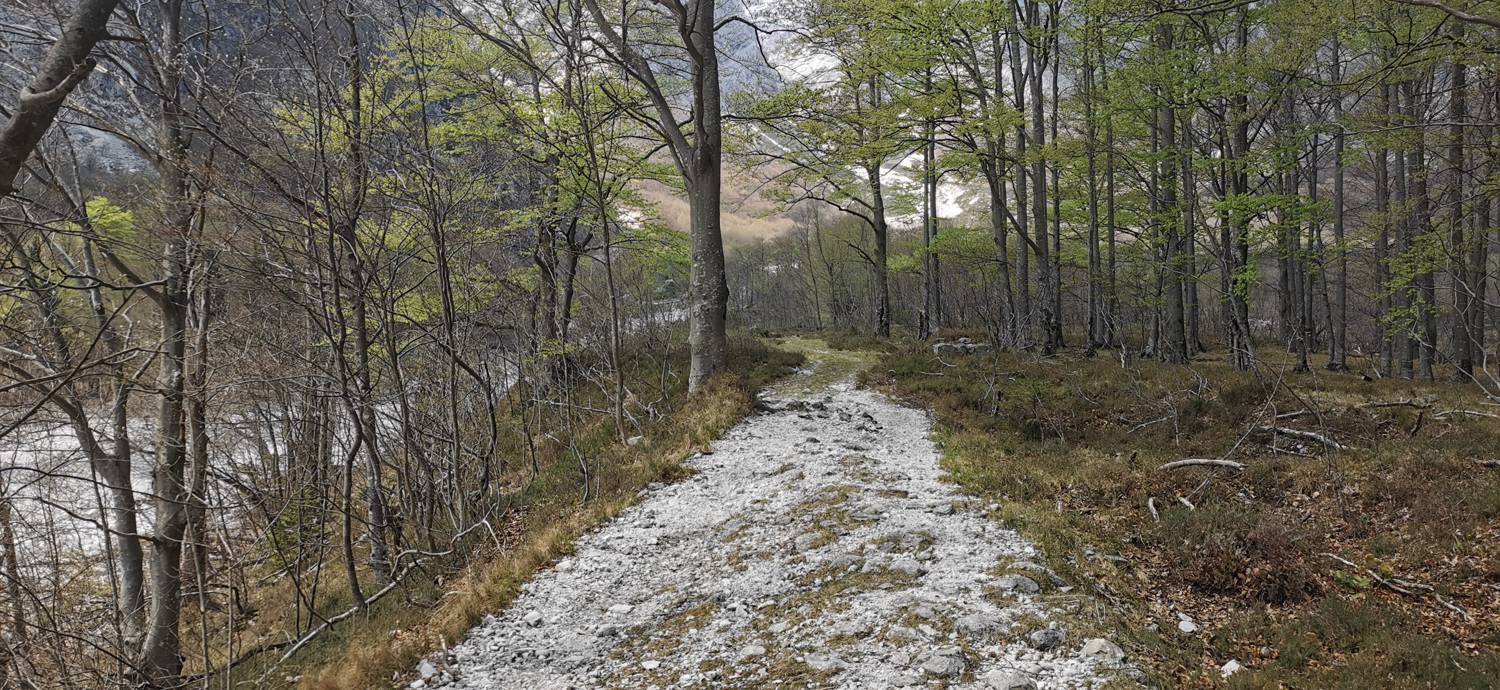 Planina Srednica - Planina Lašca slika 22